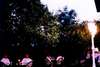 Tuvana Hotel 